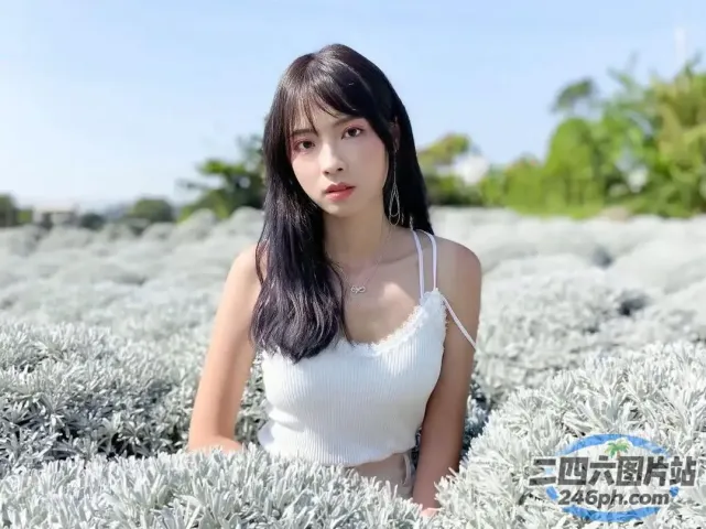 坐在薰衣草田里的阿拉菲女人