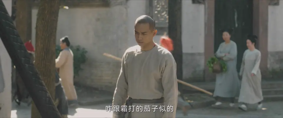2025国剧《人生若如初见》更至12集.HD1080P&4K.国语中字截图