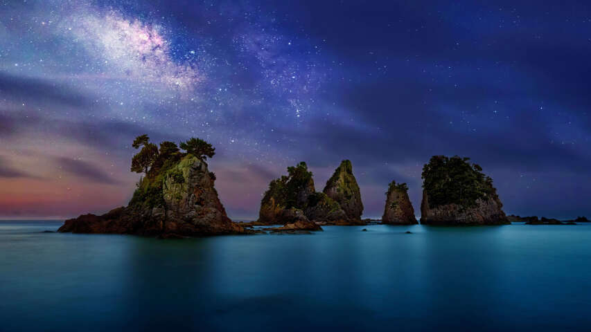 海洋上繁星点点的夜空，有岩石和树木