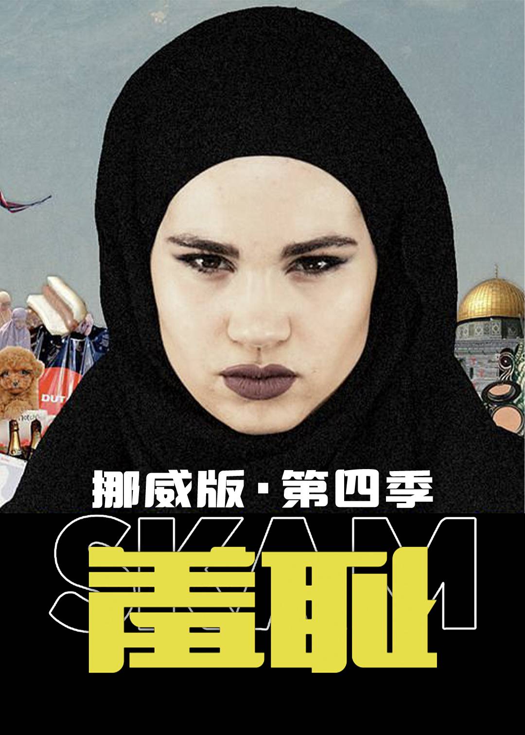 羞耻挪威版第四季封面图