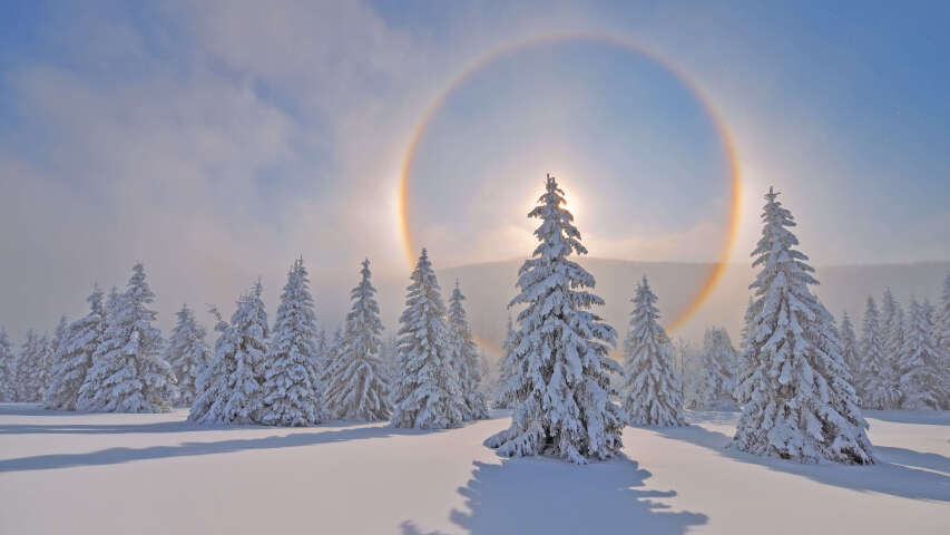 白雪皑皑的森林上天空中彩虹环的 arafed 视图