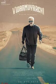 坚毅奇兵封面图