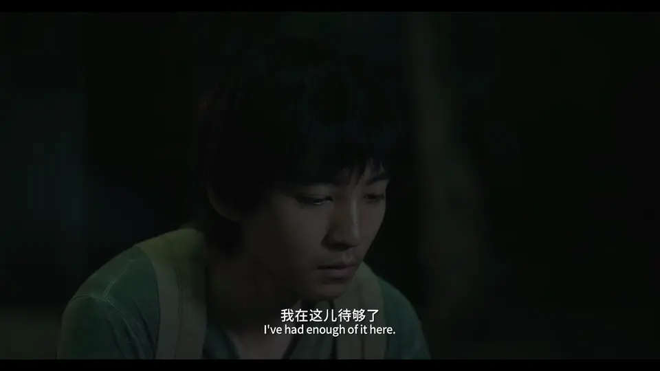 野孩子剧照