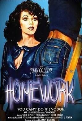家庭作业1982封面图