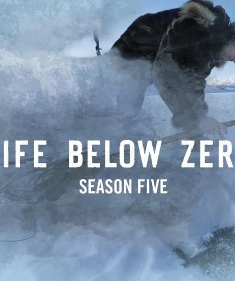 零度以下的生活第五季封面图