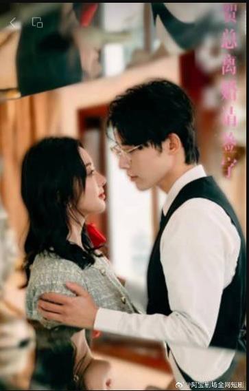 贺总离婚请签字封面图