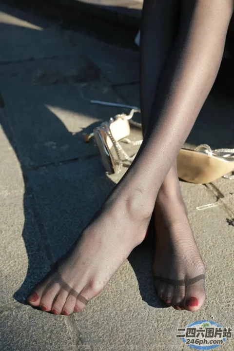 有一条女人的腿，黑色丝袜和一双鞋
