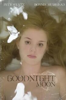 我们是一群小小鸟封面图