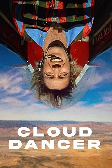 云霄大追杀封面图