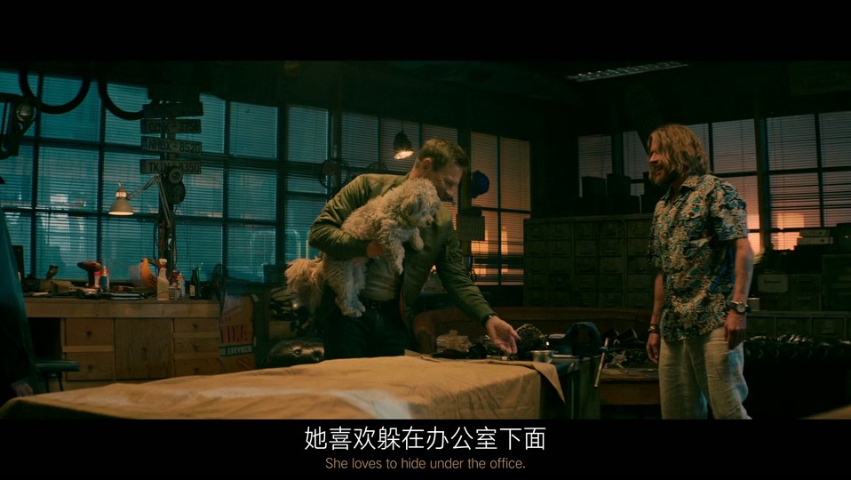 2023惊悚动作《谍影追凶》HD1080P.英语中英双字截图