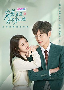 完美先生和差不多小姐速看版封面图