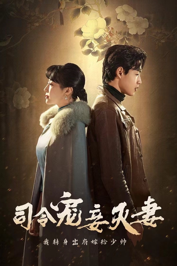 司令宠妾灭妻，我转身出府嫁少帅封面图