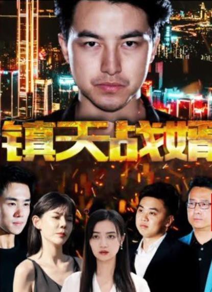 镇天战婿封面图