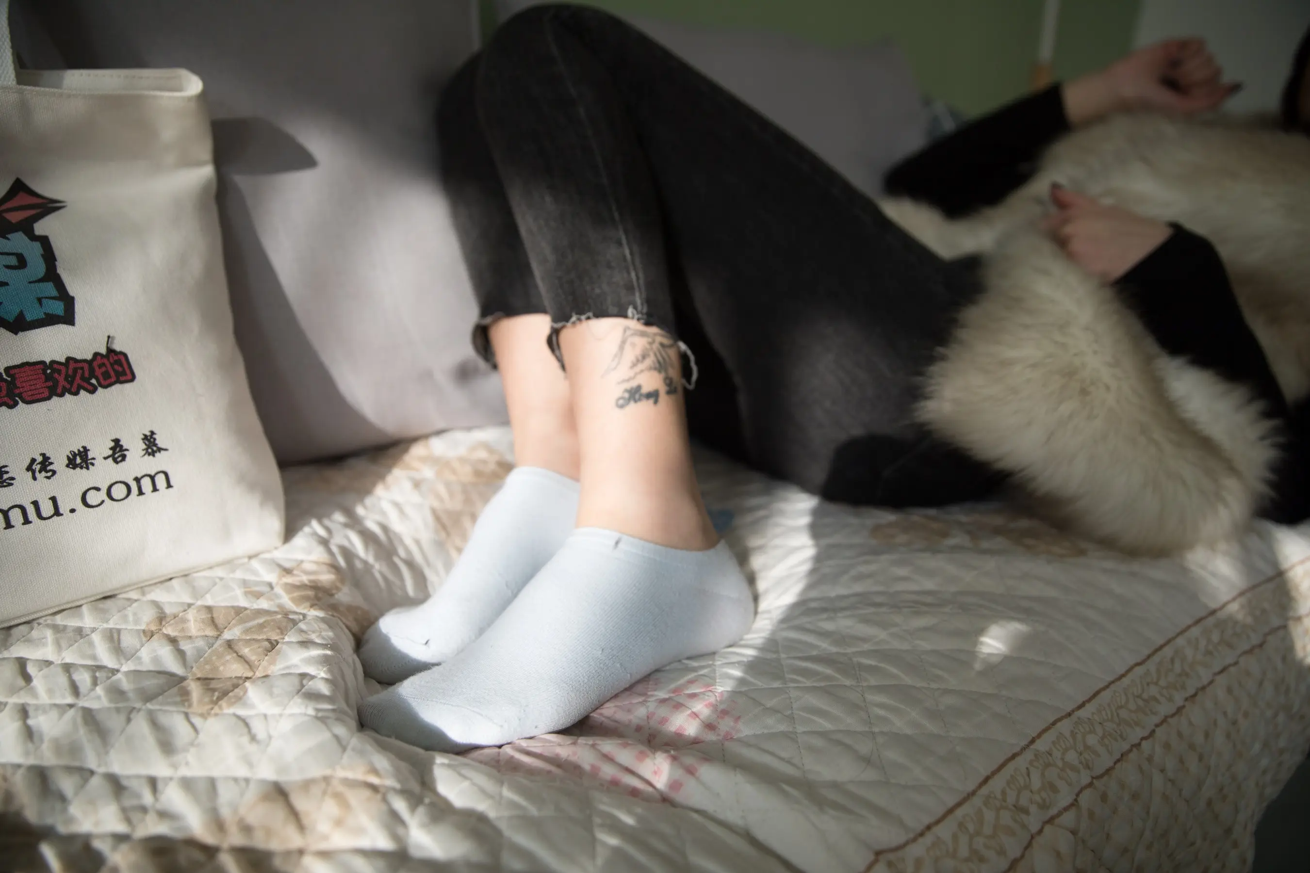 有人拿着一个袋子和一只猫躺在床上
