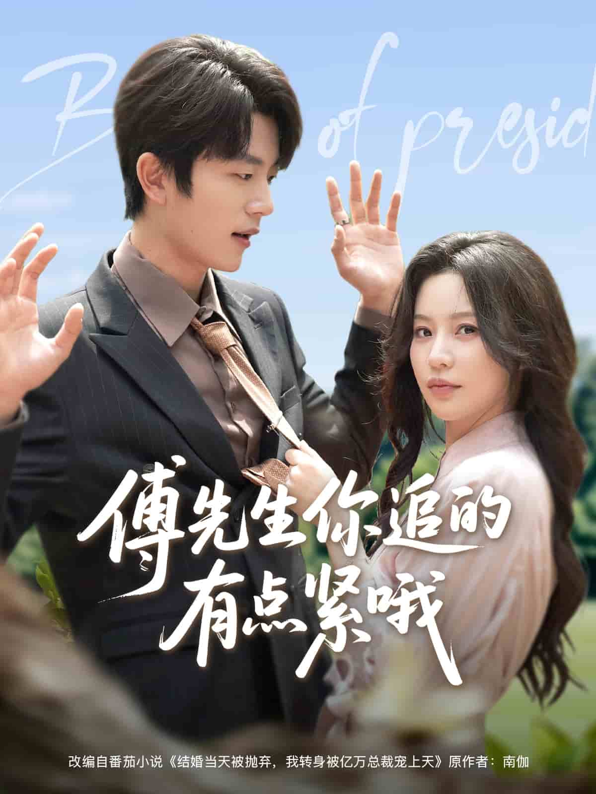 傅先生你追的有点紧哦封面图