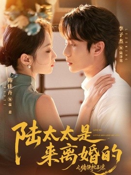陆太太是来离婚的之慵便枕玉凉封面图