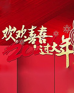 欢欢喜喜过大年封面图