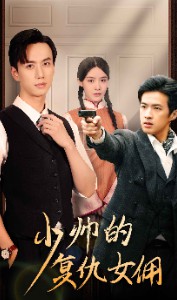 少帅的复仇女佣封面图