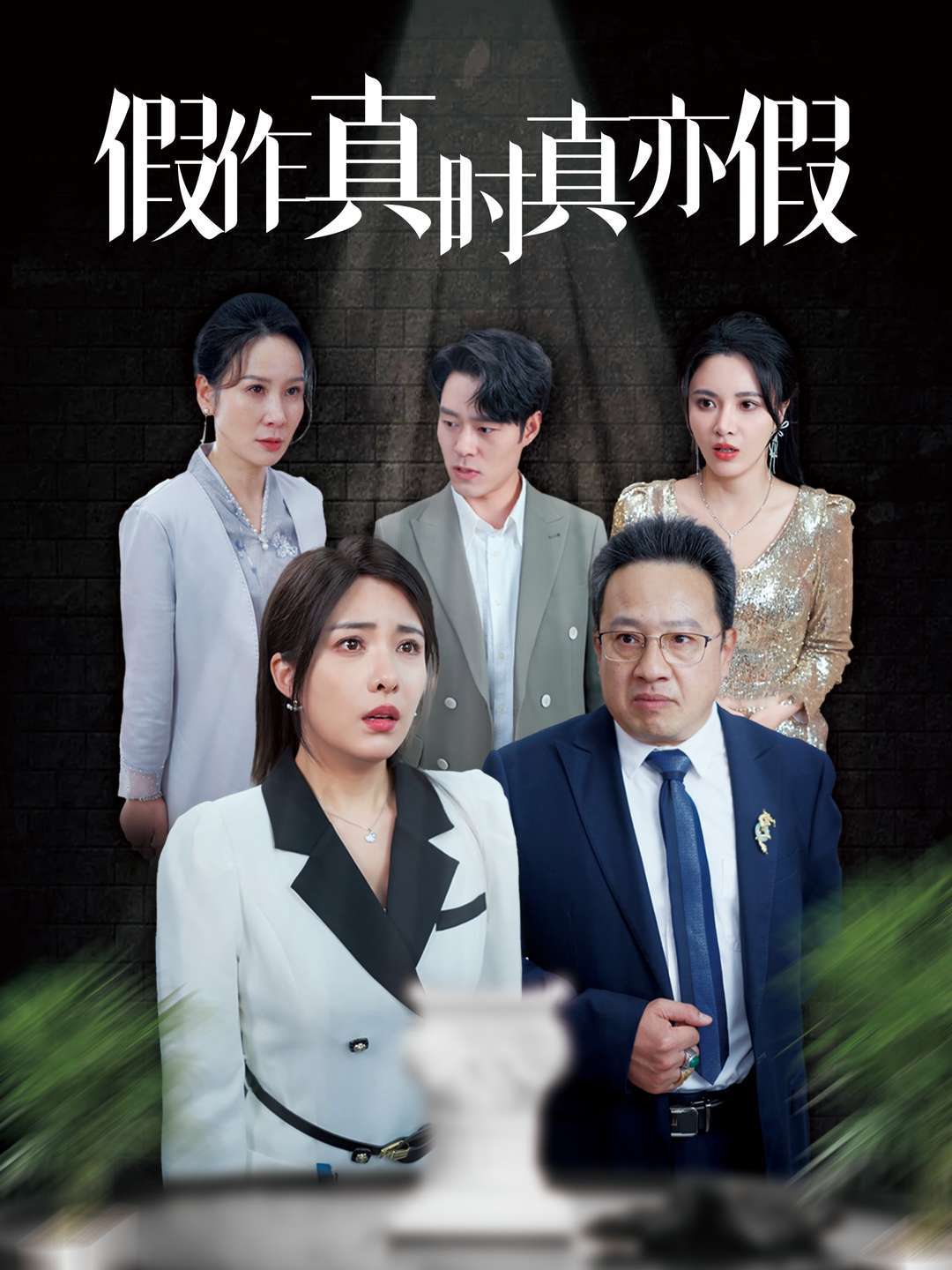 假作真时真亦假封面图