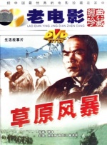 草原风暴封面图