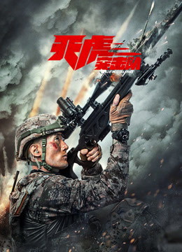 天虎突击队封面图