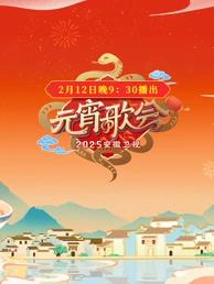 安徽元宵晚会封面图