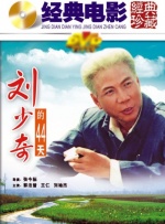 刘少奇的44天封面图