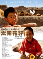 太阳花籽封面图