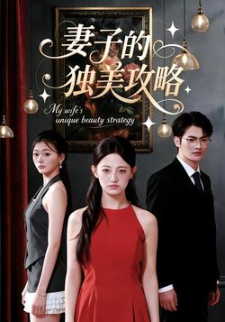 妻子的独美攻略封面图