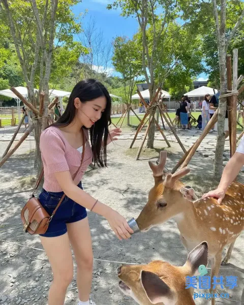Araffe 在动物园喂鹿，旁边站着一名女子