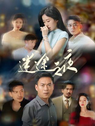 迷途之夜封面图