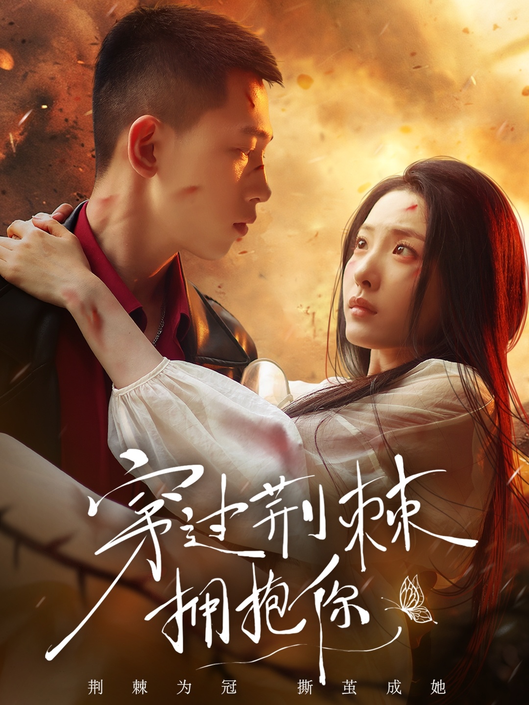 穿过荆棘拥抱你封面图