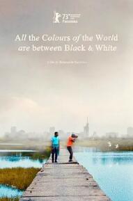 黑白之间是彩色世界封面图