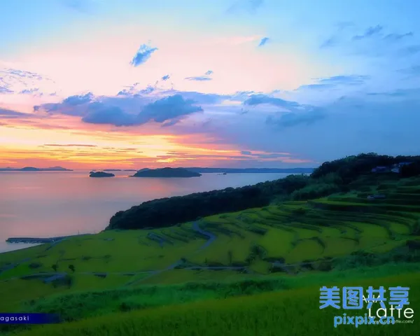 阿拉菲德 （arafed） 的稻田日落和水域景观