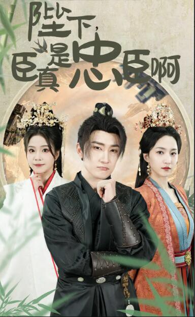 陛下，臣真是忠臣啊封面图