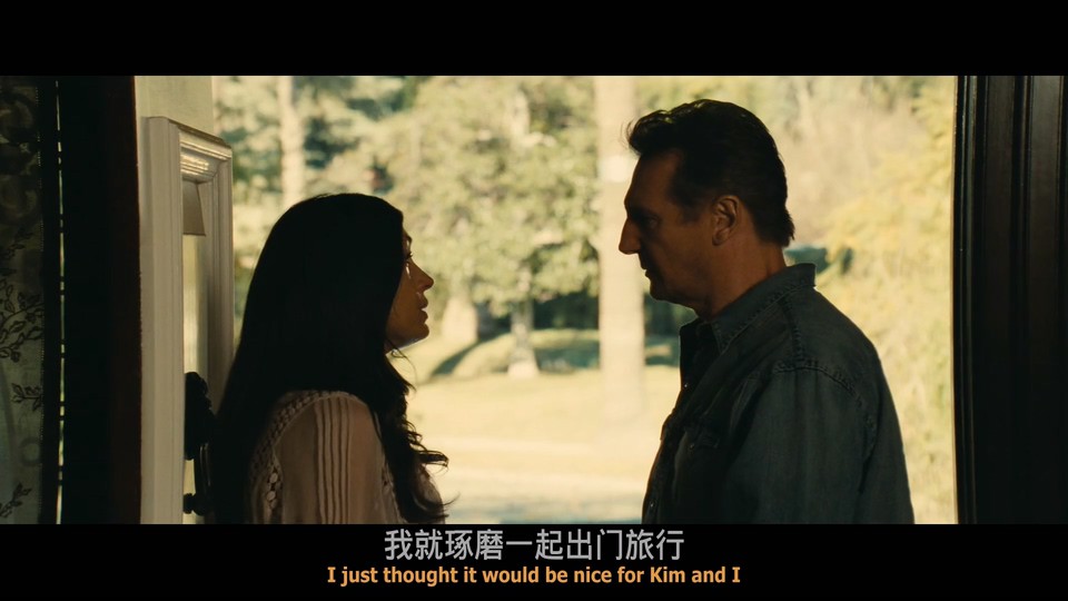 2012动作犯罪《飓风营救2》BD1080P.英语特效中英双字截图