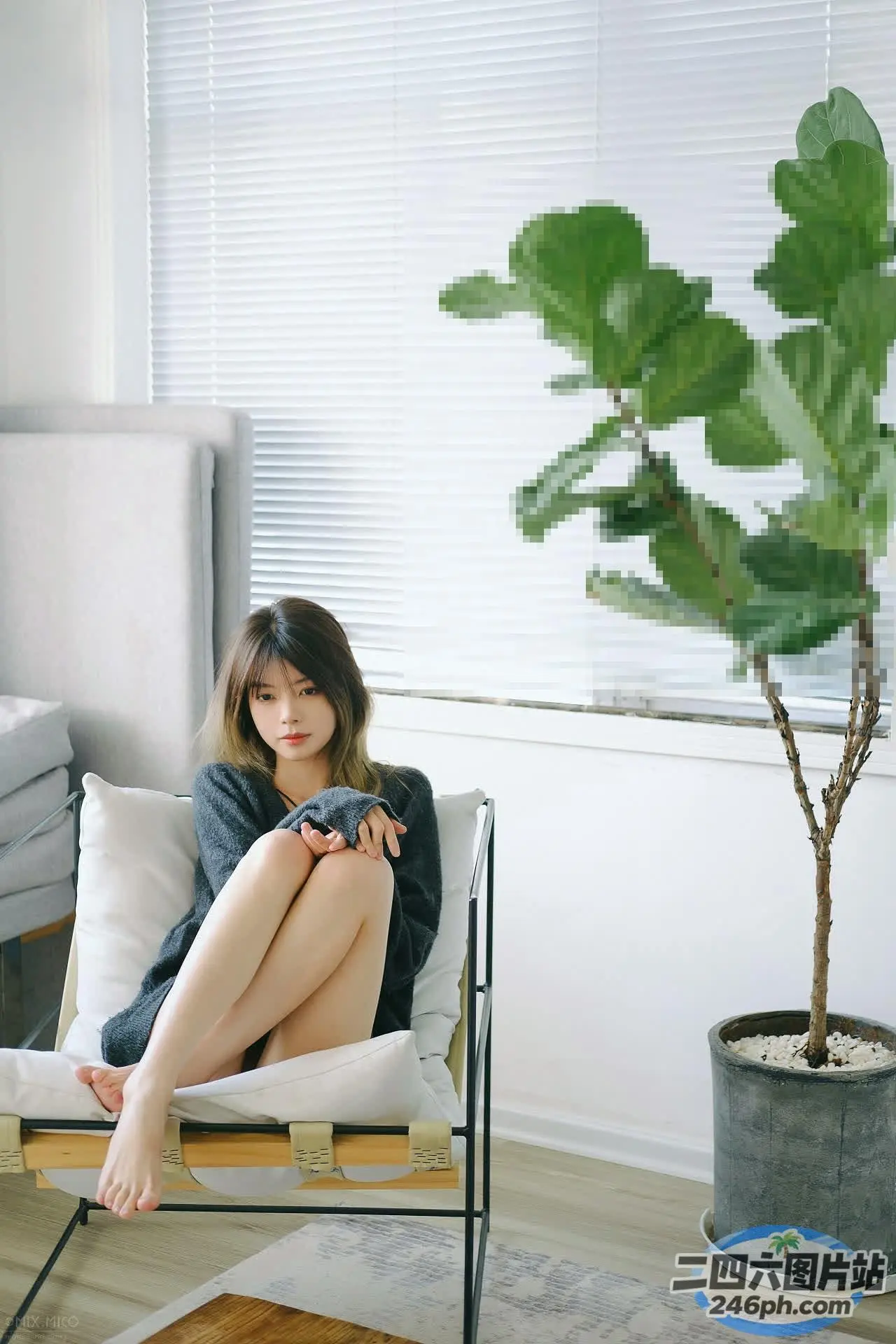 阿拉夫德女人坐在客厅的椅子上，里面种着一棵植物