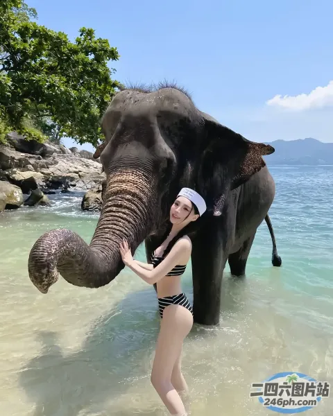 有一个穿着泳衣的女人和一头大象站在水中