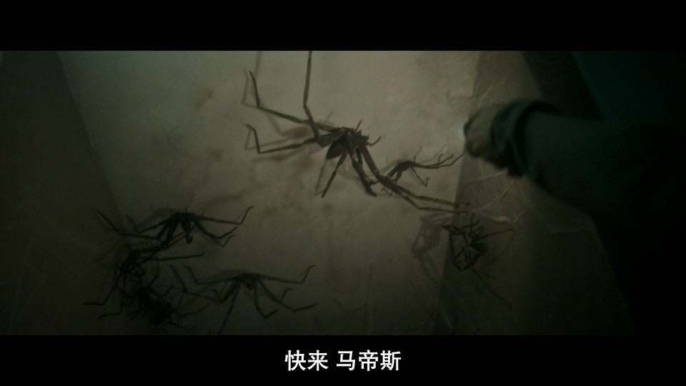 2023法国恐怖《害虫》HD1080P.法语中字截图;jsessionid=WvWtWJOEFOuUYGXm52GXKw3HMJSZa0mcs0zcL2u9