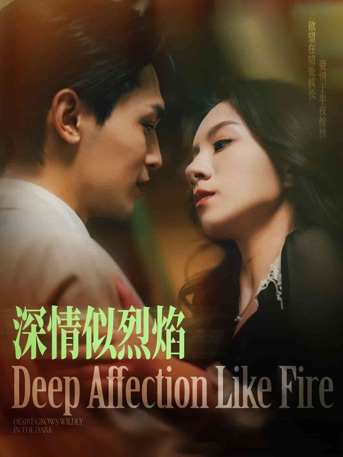 深情似烈焰封面图