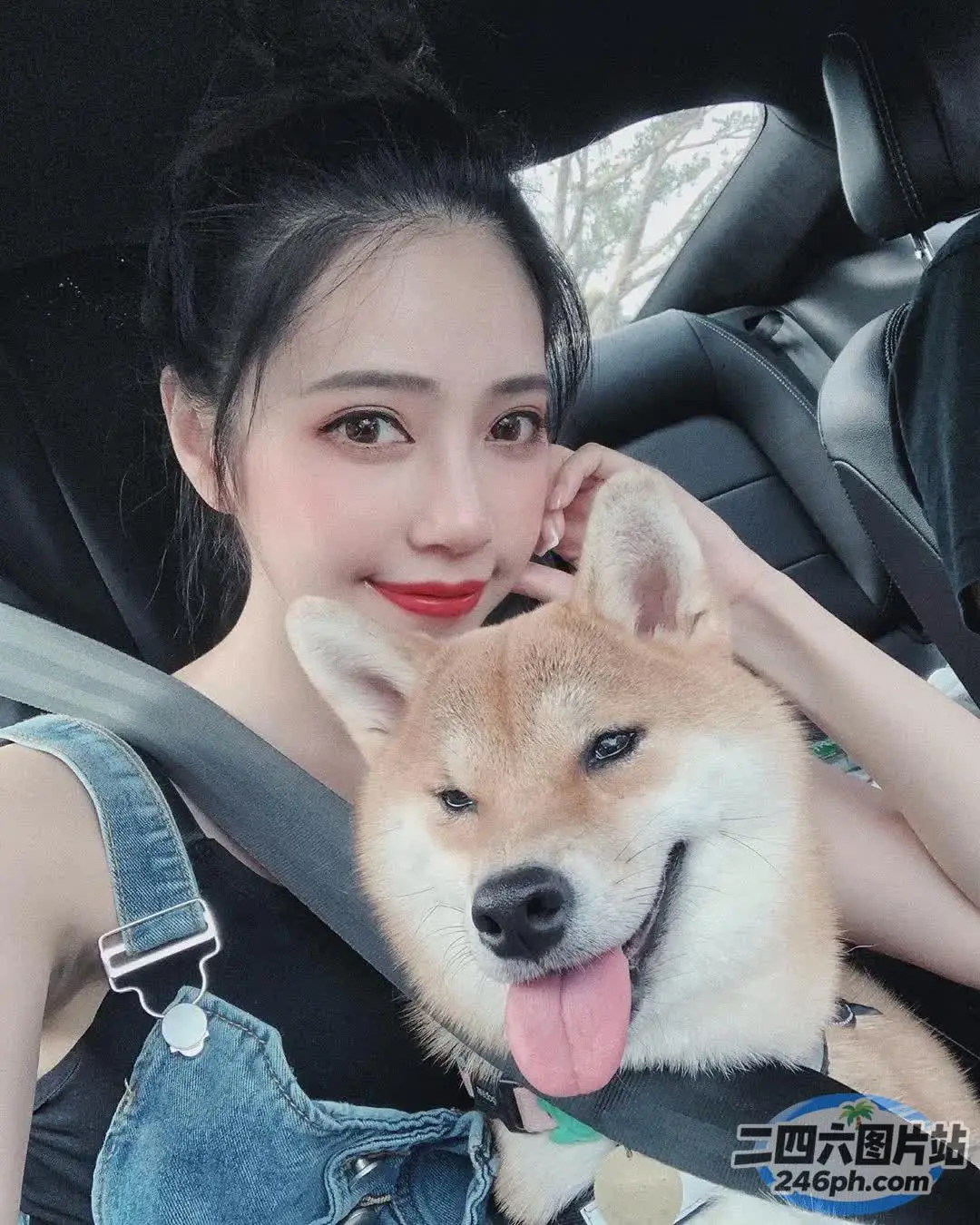 女人坐在车里，腿上抱着一只狗