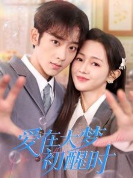 爱在大梦初醒时封面图