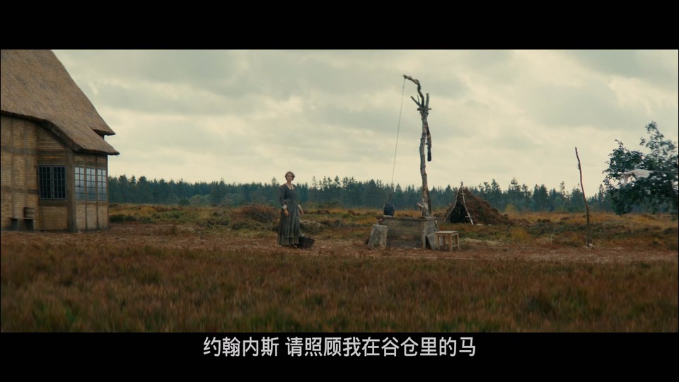 2023历史传记《杂种》BD1080P.丹麦语中字截图