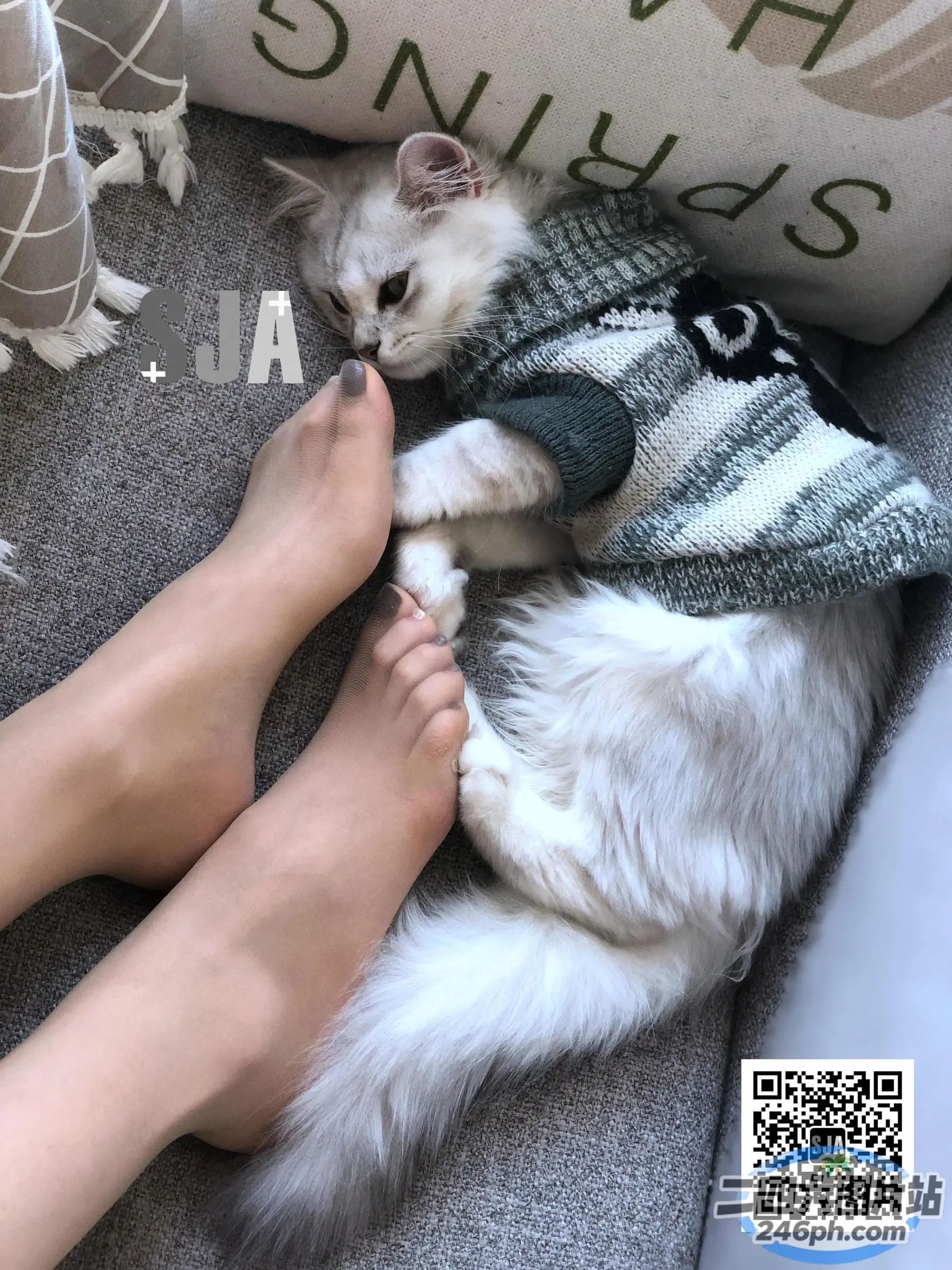 有一只猫躺在一个人的脚上