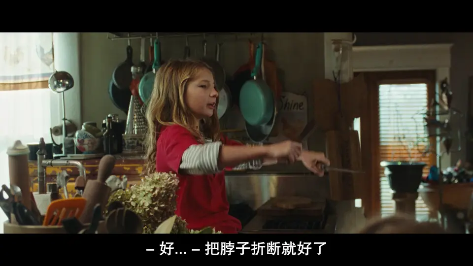 胡桃夹子们剧照