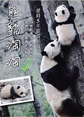 熊猫淘淘封面图