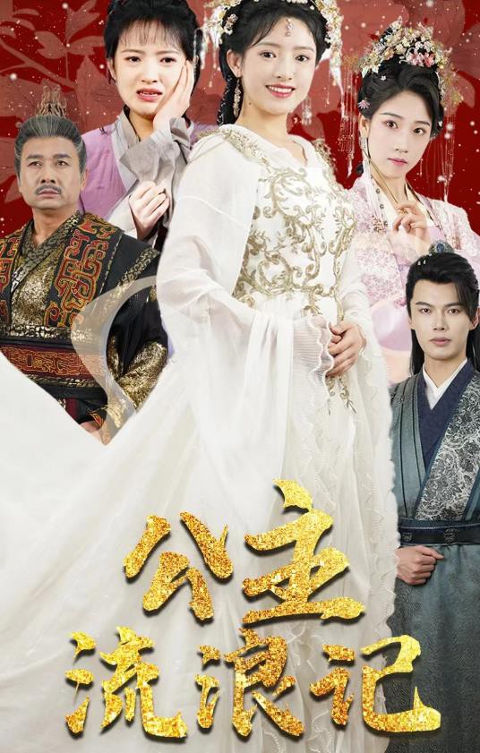 公主流浪记封面图