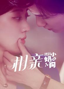 相亲遇到小奶狗封面图