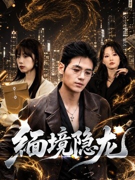 缅境隐龙封面图