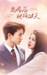 离婚后她捅破天封面图